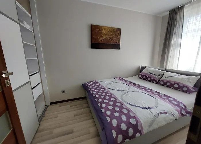 Sas Vega * 什切青